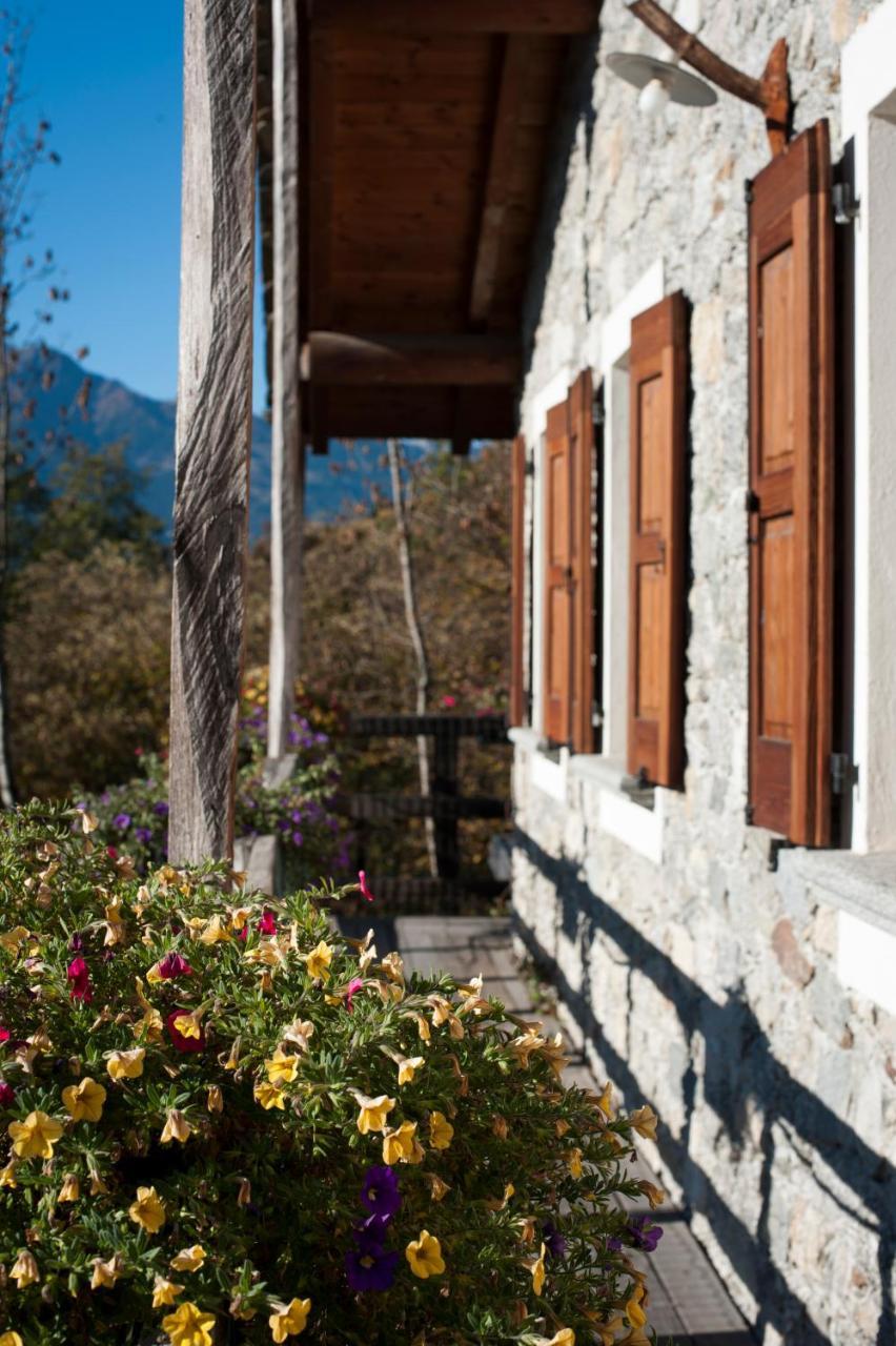 Agriturismo La Pedruscia Civo Luaran gambar