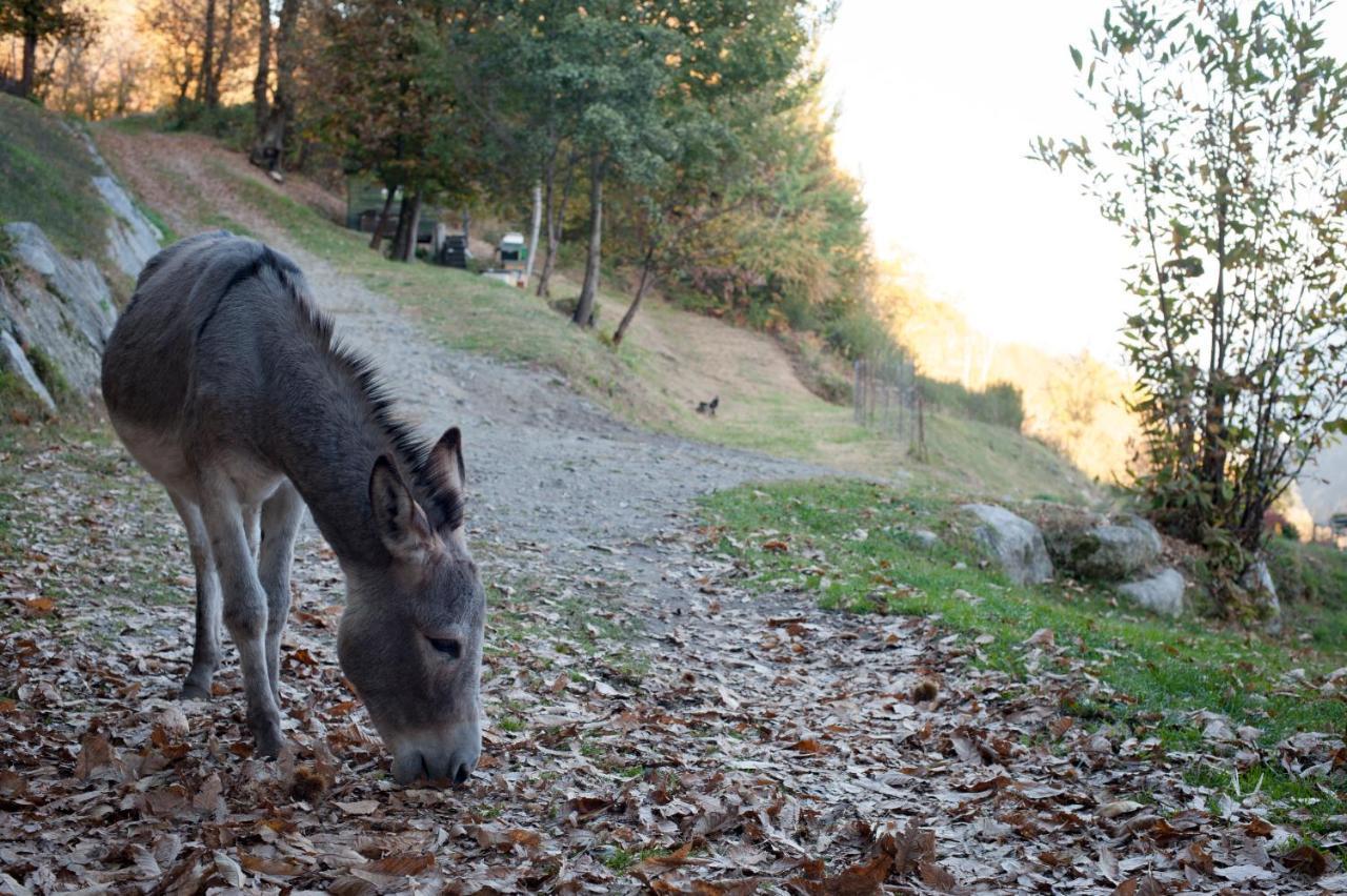Agriturismo La Pedruscia Civo Luaran gambar